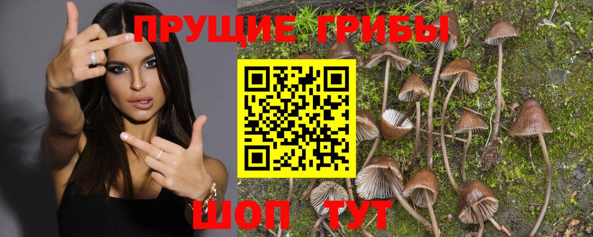 Псилоцибиновые грибы GOLDEN TEACHER Туймазы